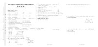 福建省泉州市泉港区2023-2024学年八年级上学期11月期中数学试题