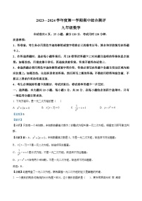 广东省河源市紫金县2023-2024学年九年级上学期期中数学试题（解析版）