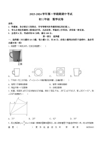 广东省深圳市深圳中学2023-2024学年九年级上学期期中数学试题