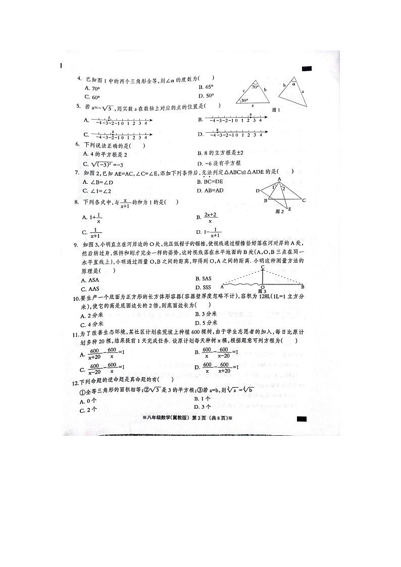 河北省邯郸市大名县某校2023-2024学年八年级上学期11月月考数学试题02