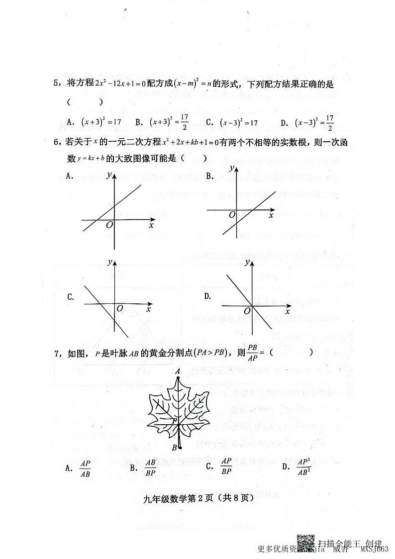 河北省保定市曲阳县2023-2024学年九年级上学期期中考试数学试题02