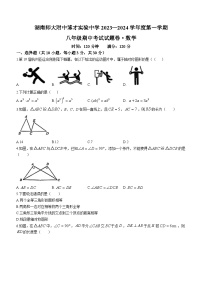 湖南省长沙市岳麓区湖南师大附中博才实验中学2023-2024学年八年级上学期期中数学试题(无答案)