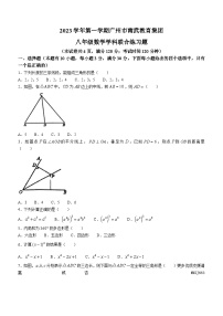 广东省广州市南武教育集团2023-2024学年八年级上学期期中数学试题(无答案)