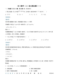 广东省阳江市阳春市第四中学2023-2024学年九年级上学期月考数学试题（解析版）