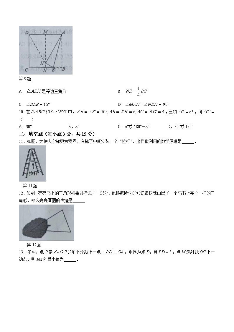 河南省周口市扶沟县2023-2024学年八年级上学期期中数学试题03