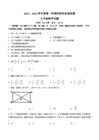 山东省菏泽市鄄城县2023-2024学年九年级上学期期中数学试题