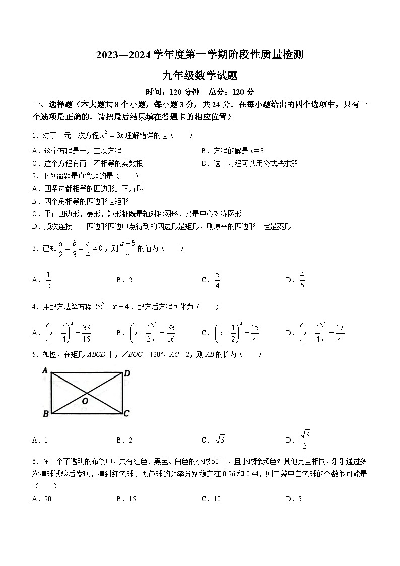 山东省菏泽市鄄城县2023-2024学年九年级上学期期中数学试题01