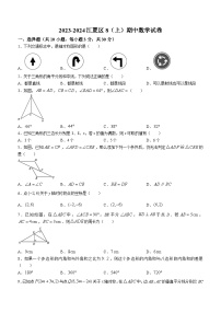 湖北省武汉市江夏区2023-2024学年八年级上学期期中数学试题