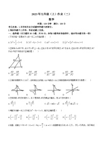 湖南省娄底市双峰县2023-2024学年九年级上学期期中数学试题