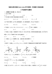 安徽省宿州市埇桥区教育集团2023-2024学年八年级上学期期中数学试题