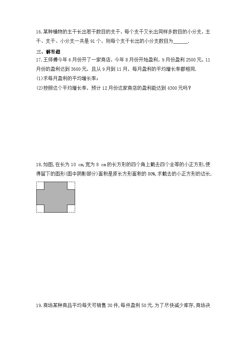 2023年青岛版数学九年级上册《4.5 一元二次方程的应用》同步练习（含答案）03