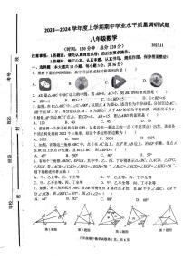 山东省临沂市临沂经济技术开发区2023—2024学年八年级上学期11月期中数学试题