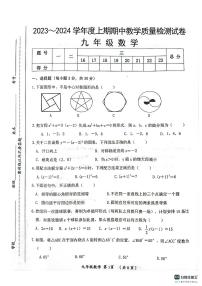 河南省漯河市郾城区2023-2024学年九年级上学期11月期中数学试题