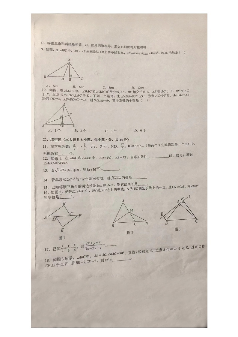 湖南省邵阳市第七中学2023-—2024学年八年级上学期期中数学试题02