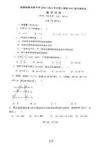 四川省成都高新实验中学2023-2024学年九年级上学期半期数学试题