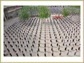 浙教版數(shù)學(xué)七年級下冊 1.1 平行線 課件