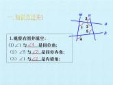 浙教版数学七年级下册 第1章 平行线 复习 课件