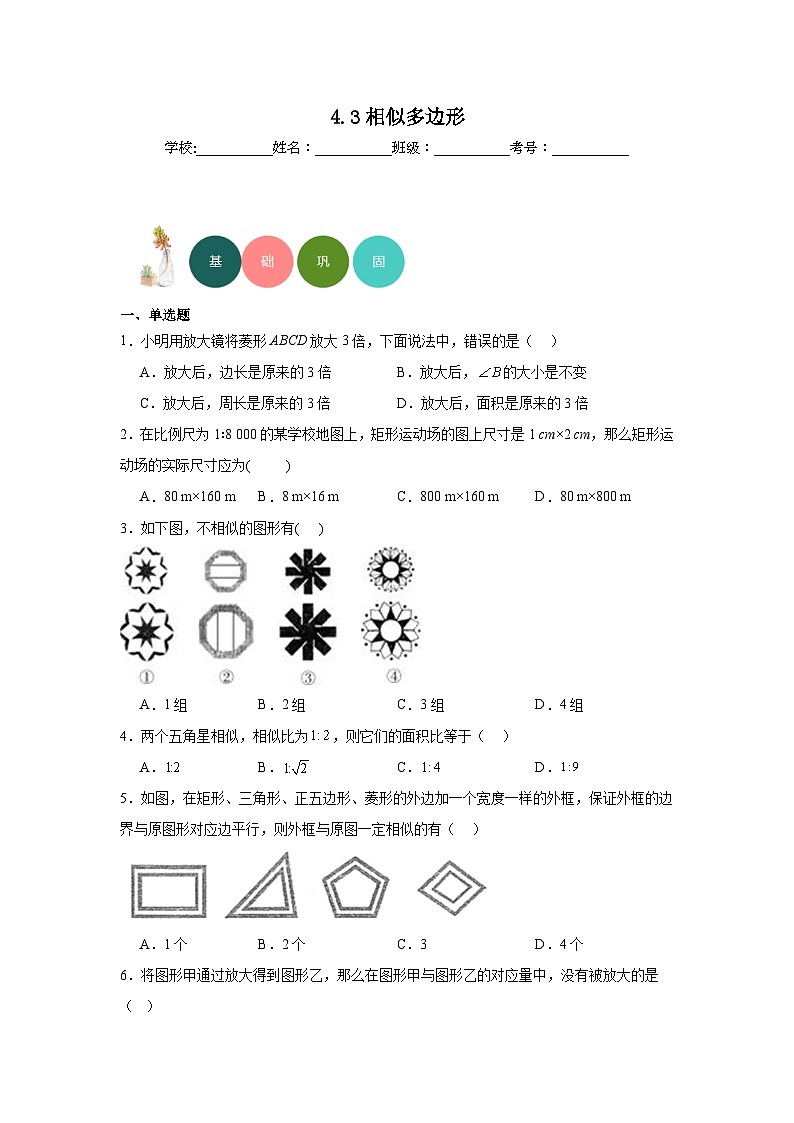 4.3相似多边形分层练习-北师大版数学九年级上册01