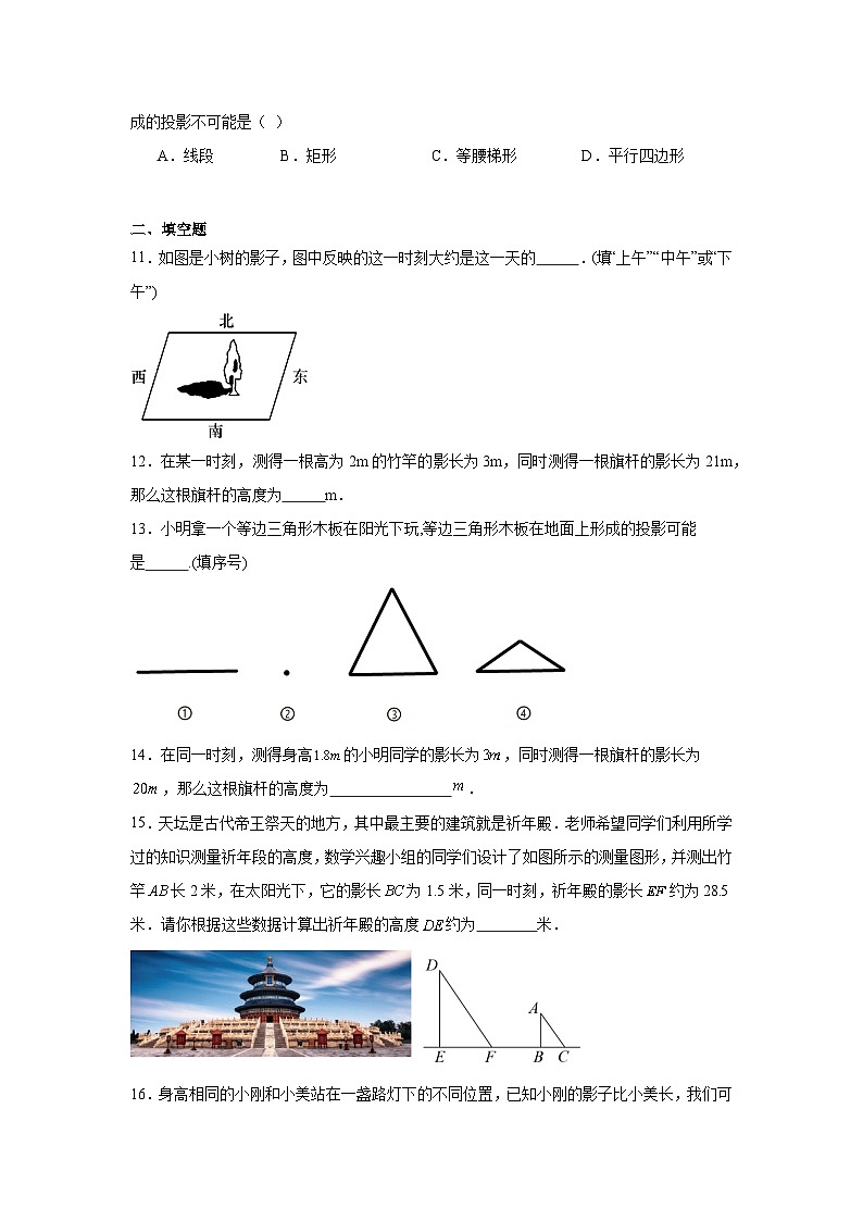 5.1投影分层练习-北师大版数学九年级上册03