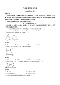 山东省临沂市沂水县2023-2024学年八年级上学期期中数学试题