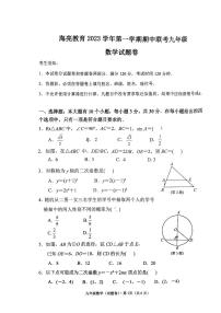 浙江省绍兴市新昌县南瑞实验学校2023-2024学年九年级上学期11月期中数学试题