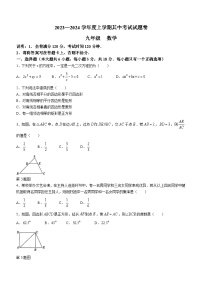 江西省九江市修水县2023-2024学年九年级上学期期中数学试题