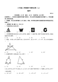 河南省安阳市滑县2023-2024学年八年级上学期期中数学试题