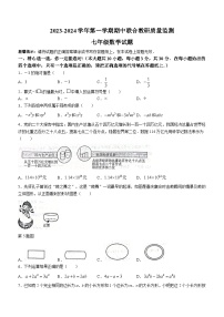 山东省枣庄市市中区2023-2024学年七年级上学期期中数学试题