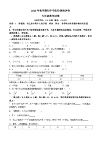 江苏省兴化市2023-2024学年九年级上学期期中数学试卷