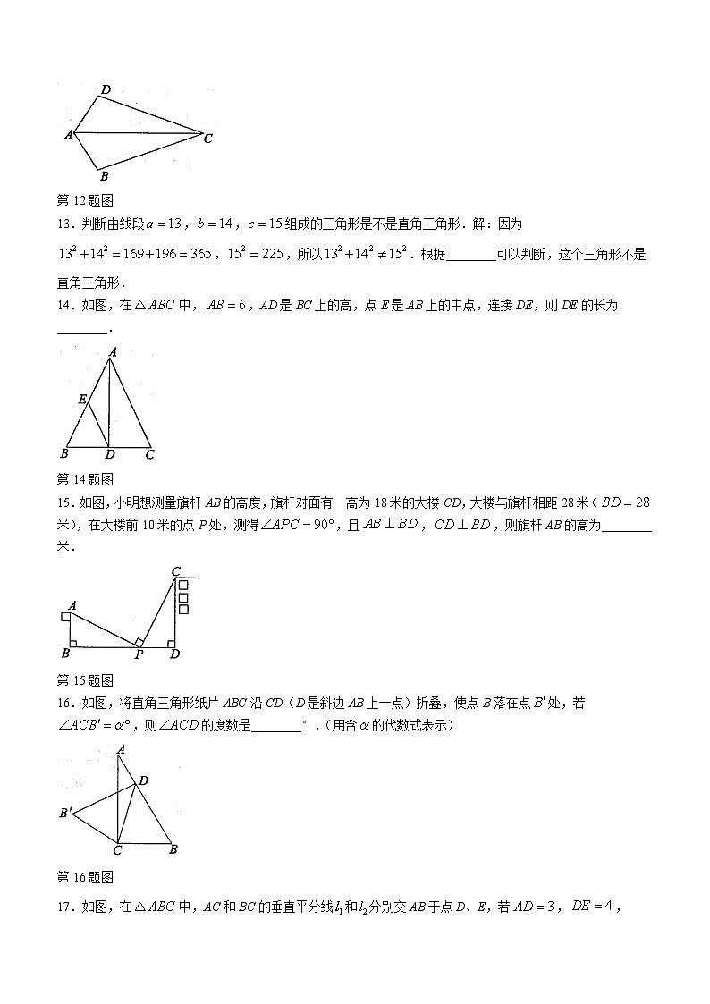 江苏省连云港市东海县2023-2024学年八年级上学期期中数学试题第3页