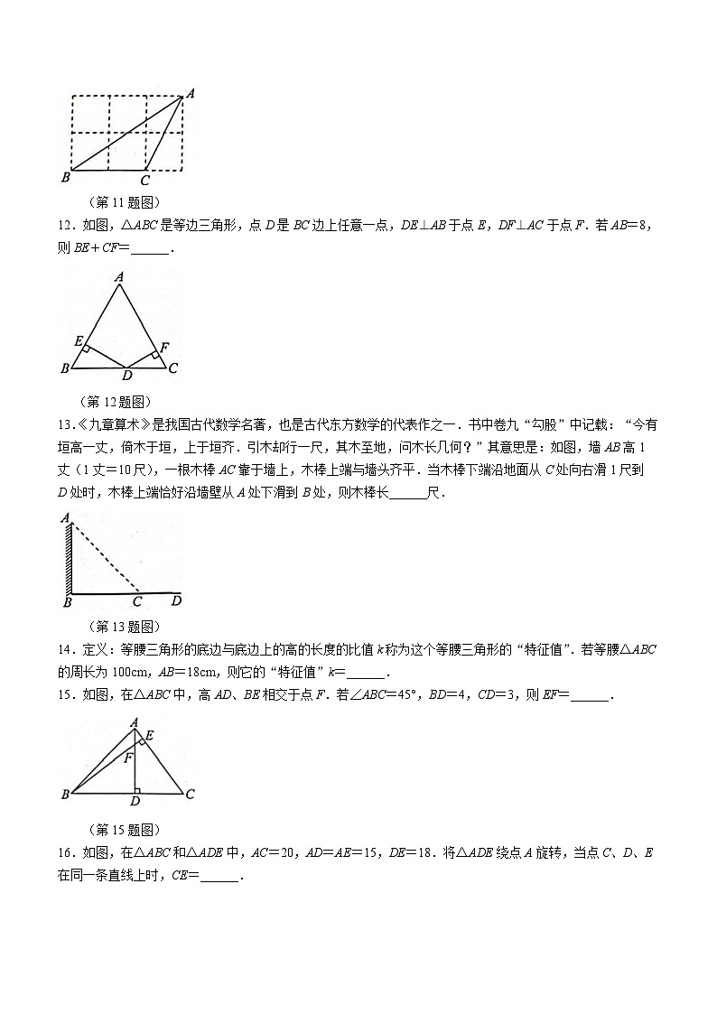 江苏省泰州市姜堰区2023-2024学年八年级上学期期中数学试题03