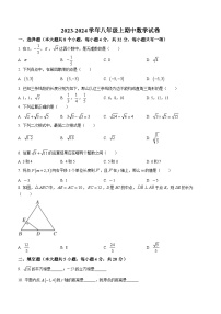 四川省成都市简阳市雷家学校2023-2024学年八年级上学期期中数学试题