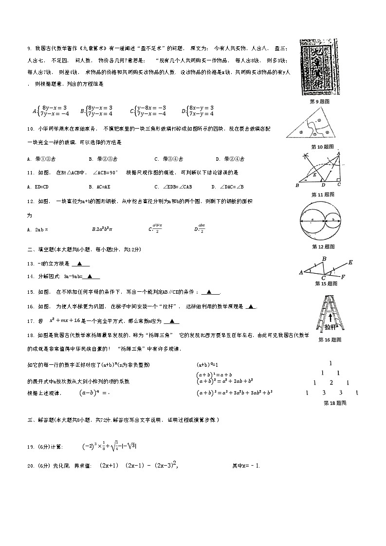 广西南宁市高新区民大中学2023-2024学年八年级上学期数学期中试题02