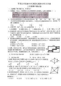 河南省平顶山市实验中学2023-2024学年11月九年级上学期期中测试数学试卷