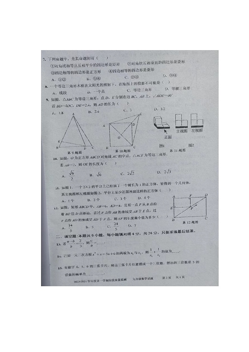 山东省枣庄市台儿庄区2023-2024学年九年级上学期期中数学试题第2页