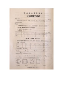 山东省枣庄市薛城区2023—2024学年上学期七年级数学期中试题