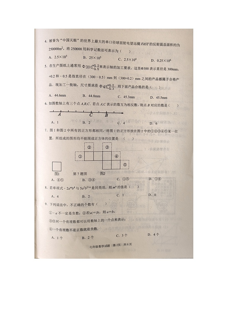 山东省枣庄市薛城区2023—2024学年上学期七年级数学期中试题第2页