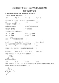 安徽省六安市轻工中学2023-2024学年八年级上学期期中数学试题