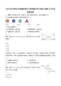 2023-2024学年江苏省南京重点大学附属中学八年级上学期10月月考数学试卷（含解析）