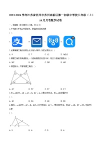 2023-2024学年江苏省苏州市苏州高新区第一初级中学校八年级（上）10月月考数学试卷（含解析）