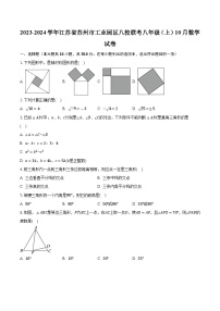 2023-2024学年江苏省苏州市工业园区八校联考八年级（上）10月数学试卷（含解析）