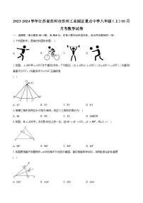 2023-2024学年江苏省苏州市苏州工业园区重点中学八年级（上）10月月考数学试卷（含解析）