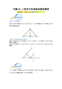 专题09 三角形中的垂线段最短模型 2024年中考数学核心几何模型重点突破（全国通用）