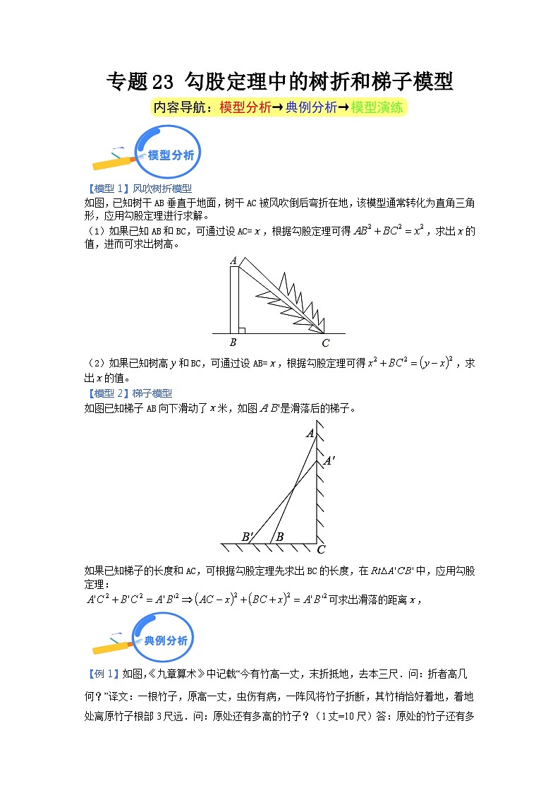 专题23 勾股定理中的树折和梯子模型第1页