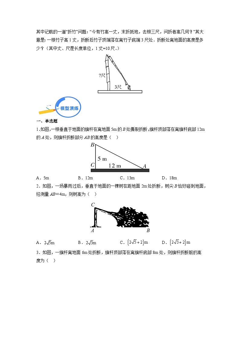 专题23 勾股定理中的树折和梯子模型第3页