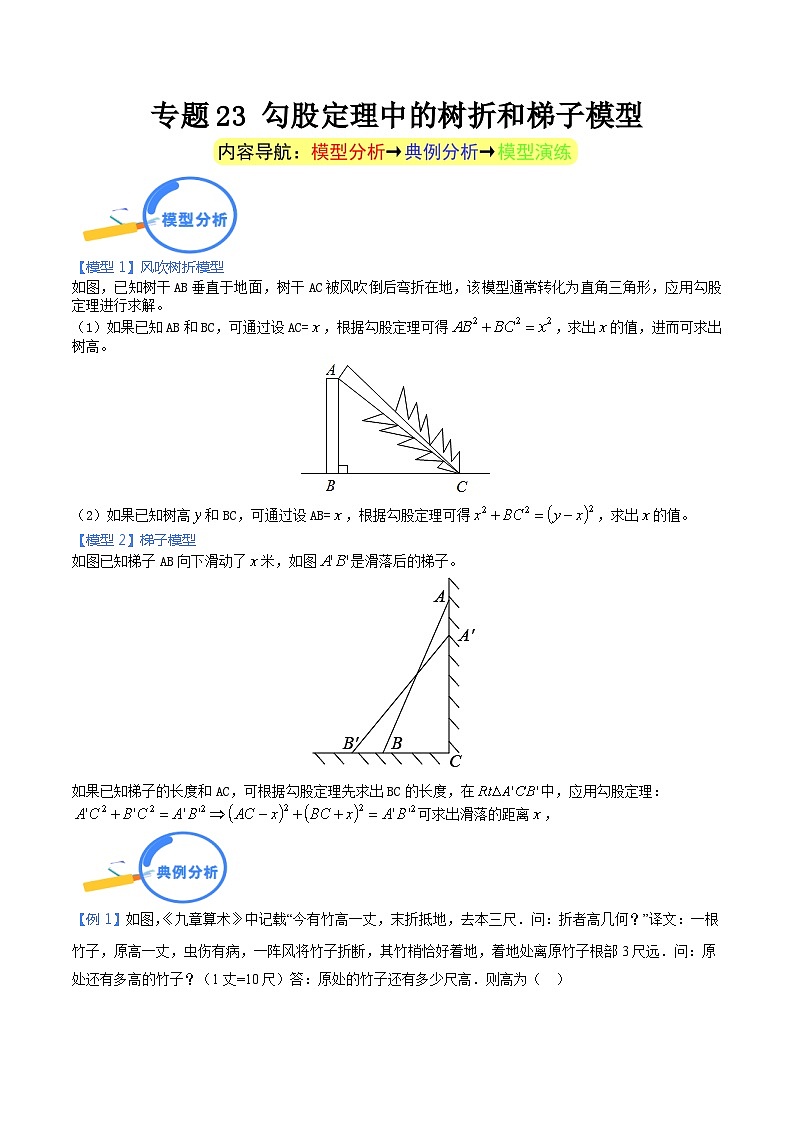 专题23 勾股定理中的树折和梯子模型（答案详解）第1页