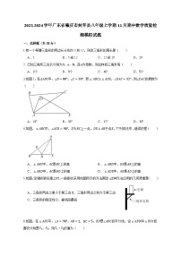 2023-2024学年广东省肇庆市封开县八年级上学期11月期中数学质量检测模拟试题（含解析）