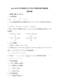 2023-2024学年河南省新乡市七年级上学期期中数学质量检测模拟试题（含解析）