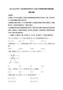 2023-2024学年广东省深圳市龙华区九年级上学期期中数学质量检测模拟试题（含解析）