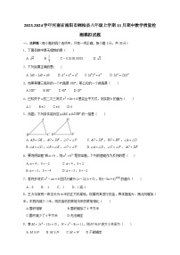 2023-2024学年河南省南阳市桐柏县八年级上学期11月期中数学质量检测模拟试题（含解析）